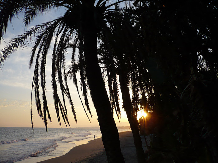 "La imagen captura la sofisticación y el encanto de Marbella, un destino de lujo a orillas del Mediterráneo. Las playas doradas se extienden bajo el sol resplandeciente, invitando a bañistas y amantes del sol a disfrutar de sus aguas cálidas y cristalinas. El puerto deportivo es un despliegue de yates elegantes y vida nocturna animada. Las palmeras se balancean suavemente en la brisa marina, mientras que las boutiques de moda y los restaurantes de alta cocina añaden un toque de glamour a la escena. Marbella es una mezcla de tradición y modernidad, donde el lujo se funde con la autenticidad española. Esta imagen es una ventana a la belleza y la exclusividad que definen a Marbella, una invitación a disfrutar de su elegancia y estilo distintivo."